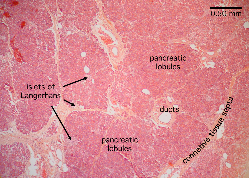  Click image to close this window