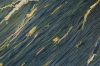 512px-Muscle_viewed_with_polarized_light.jpg