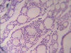 Filename=e15.jpg
Filesize=187KiB
Dimensions=639x480
Date added=Sep 28, 2007 e15.jpg