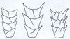 Filename=fig04.jpg
Filesize=17KiB
Dimensions=350x200
Date added=May 21, 2008 fig04.jpg