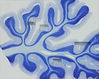 histology_cerebellum_01_nl.jpg