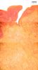 Filename=lingualtonsil1.jpg
Filesize=216KiB
Dimensions=1024x1889
Date added=Feb 26, 2009 lingualtonsil1.jpg