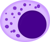 Filename=Nautral_killer_cell_28Large_granular_lymphocyte29_svg.png
Filesize=97KiB
Dimensions=896x760
Date added=Oct 07, 2025 Nautral_killer_cell_28Large_granular_lymphocyte29_svg.png