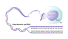 Filename=Genomic_variation_CHROM-DNA_SEQ.png
Filesize=264KiB
Dimensions=1501x873
Date added=Oct 24, 2025 Genomic_variation_CHROM-DNA_SEQ.png